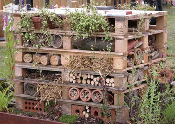 Pallet as Optimized Habitat for Insects Animal Pallet Houses & Pallet Supplies 