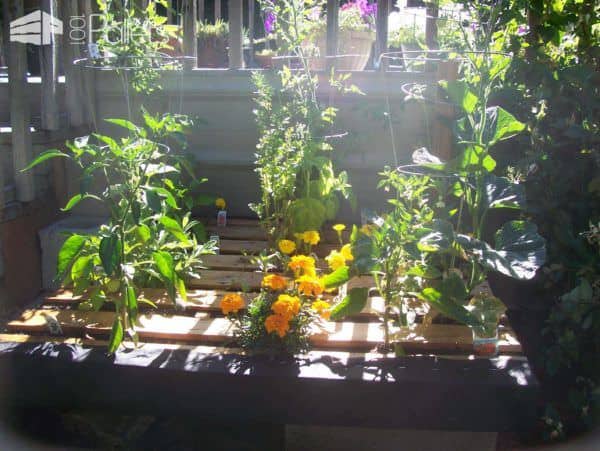 Little Pallet Garden Pallet Planters & Compost Bins Little Pallet Garden Pallet Planters & Compost Bins