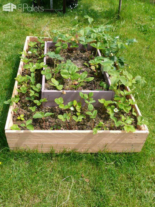 Strawberry Pallets Pyramide / Pyramide De Fraisiers En Palettes Recyclées Pallet Planters & Compost Bins Strawberry Pallets Pyramide / Pyramide De Fraisiers En Palettes Recyclées Pallet Planters & Compost Bins