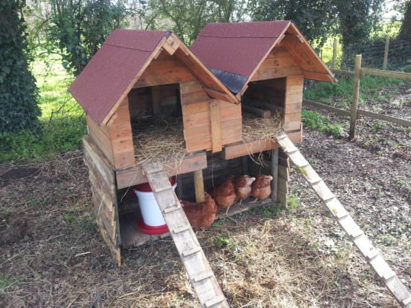 Double Pallet Chicken Coop