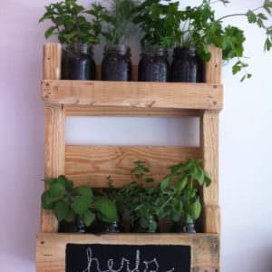 User Other Pallet Projects 