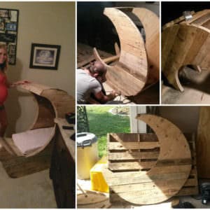 User Other Pallet Projects 