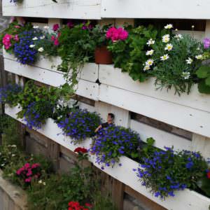 User Other Pallet Projects 