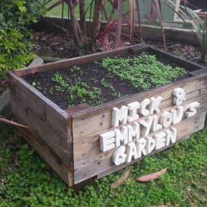 User Other Pallet Projects 