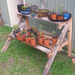 User Other Pallet Projects 