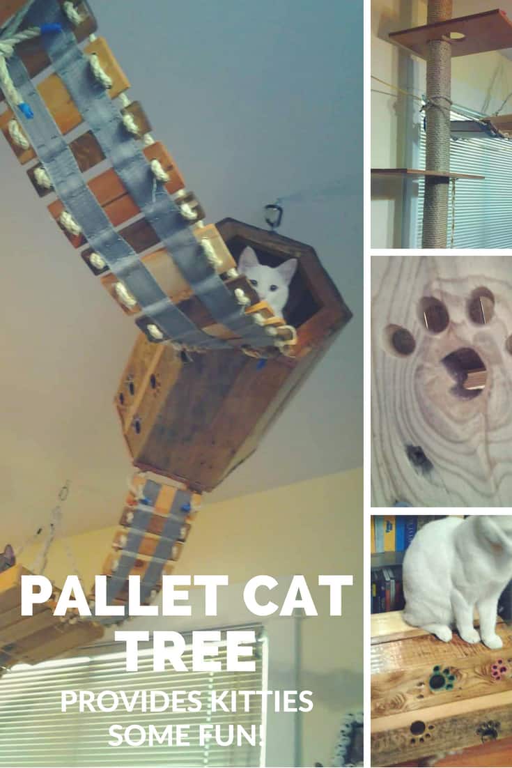 Diy: Pallet Cat Tree Provides Kitties Some Fun! • 1001 Pallets