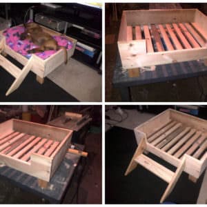 User Other Pallet Projects 