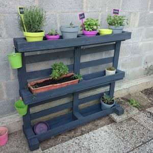 User Other Pallet Projects 