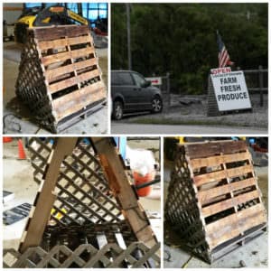 User Other Pallet Projects 