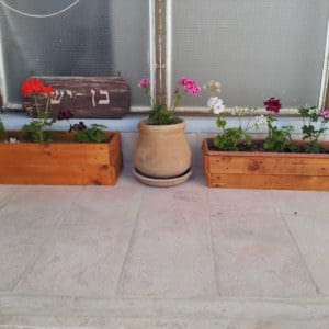 User Other Pallet Projects 