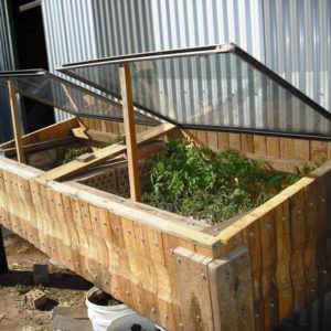 User Other Pallet Projects 