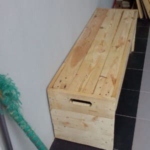 User Other Pallet Projects 