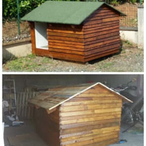 User Other Pallet Projects 