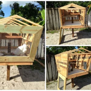 User Other Pallet Projects 
