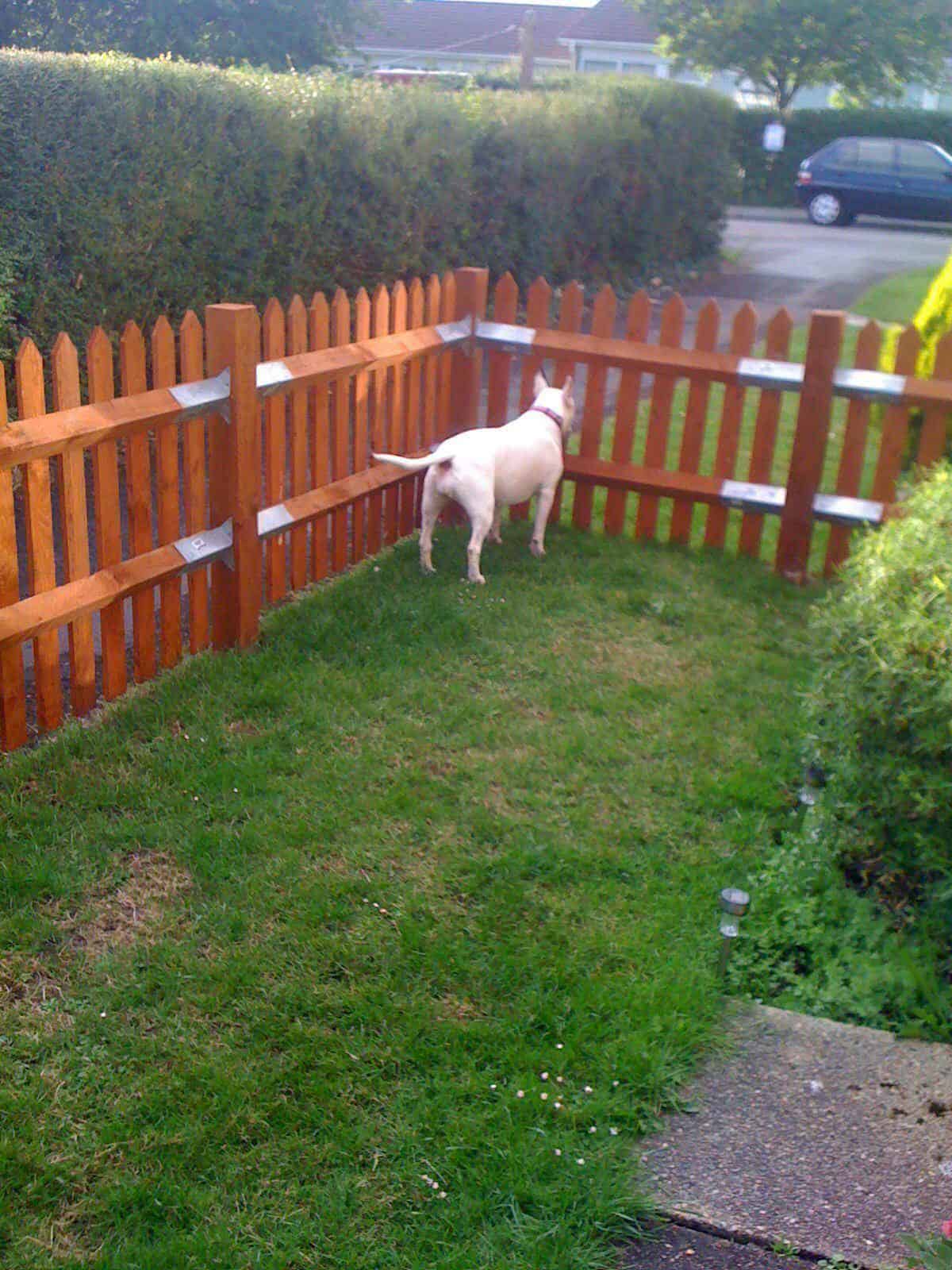 Pallet Picket Fence • 1001 Pallets