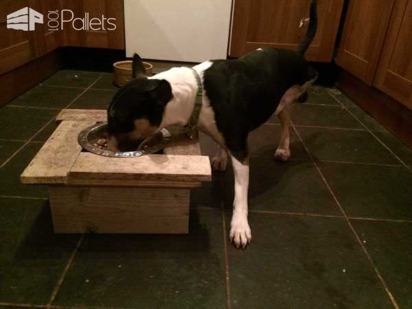 Pallet Doggy Dinner Table Animal Pallet Houses & Pallet Supplies Pallet Doggy Dinner Table Animal Pallet Houses & Pallet Supplies