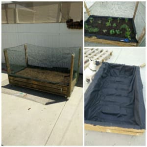 User Other Pallet Projects 