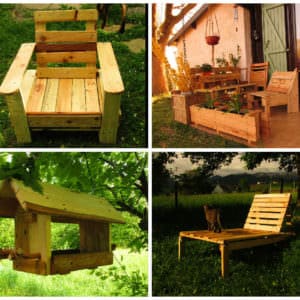 User Other Pallet Projects 
