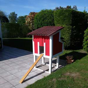 User Other Pallet Projects 