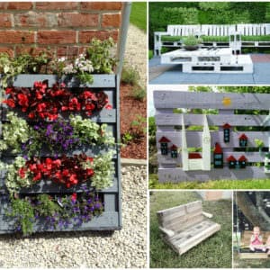 User Other Pallet Projects 