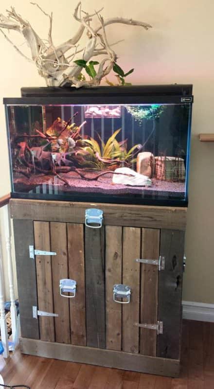 Aquarium Stand From Pallets • 1001 Pallets