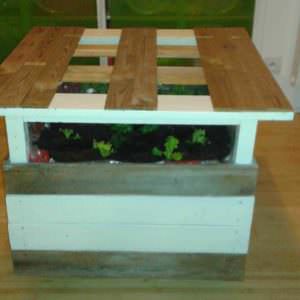 User Other Pallet Projects 