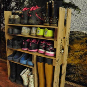 User Other Pallet Projects 