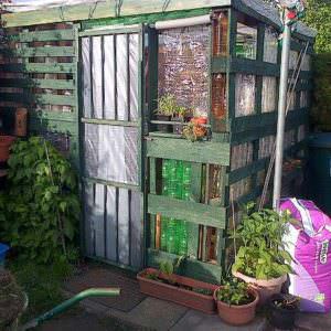 User Other Pallet Projects 