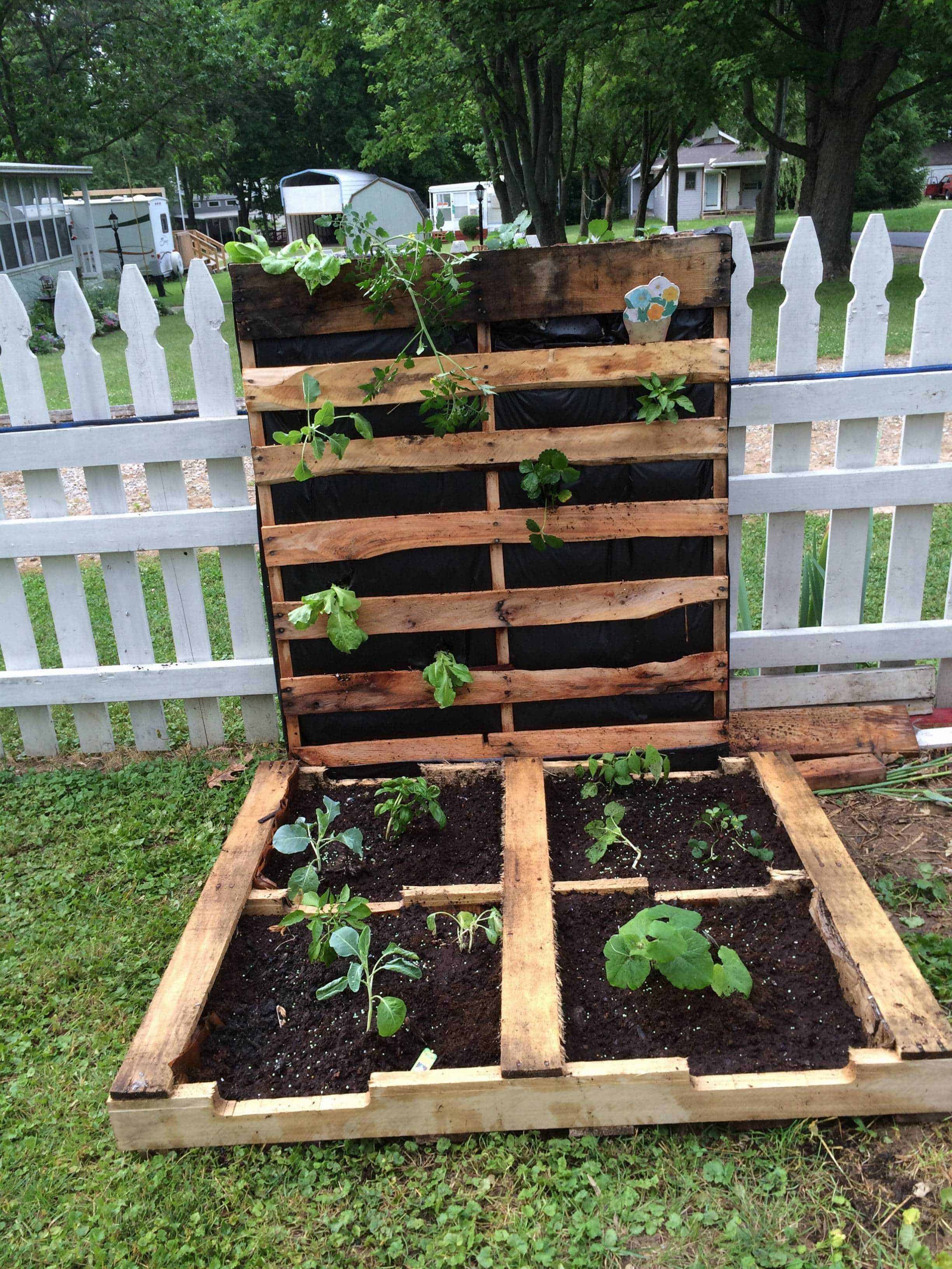 How To Make Your First Pallet Garden 1001 Pallets how-to-make-your-first-pallet-garden-1001-pallets