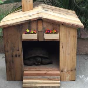 User Other Pallet Projects 