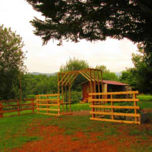 User Other Pallet Projects 