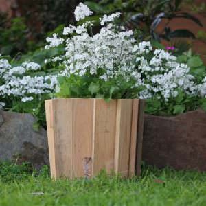 User Other Pallet Projects 