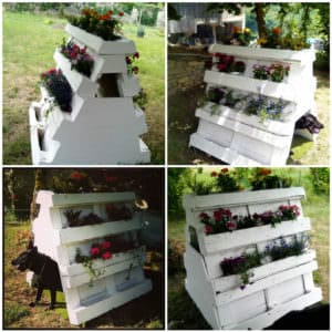 User Other Pallet Projects 