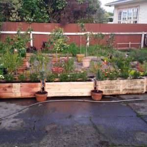 User Other Pallet Projects 