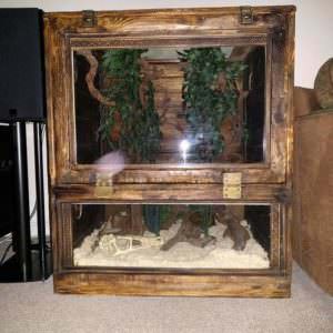 User Other Pallet Projects 