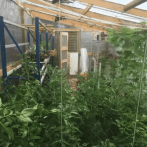 User Other Pallet Projects 