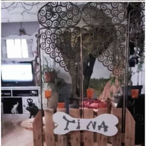 User Other Pallet Projects 