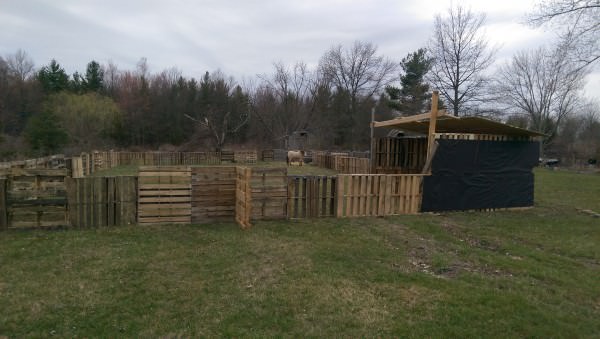 Horse Pasture & Shelter Animal Pallet Houses & Pallet Supplies 