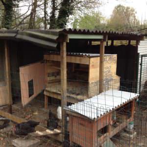 User Other Pallet Projects 