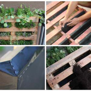 User Other Pallet Projects 