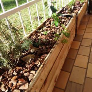 User Other Pallet Projects 