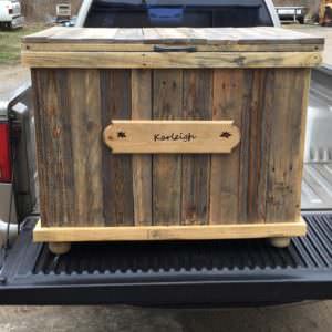 User Other Pallet Projects 