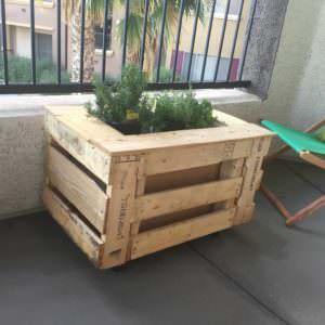 User Other Pallet Projects 