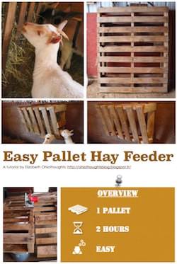 Easy Pallet Hay Feeder English Tutorials Garden Easy Pallet Hay Feeder English Tutorials Garden