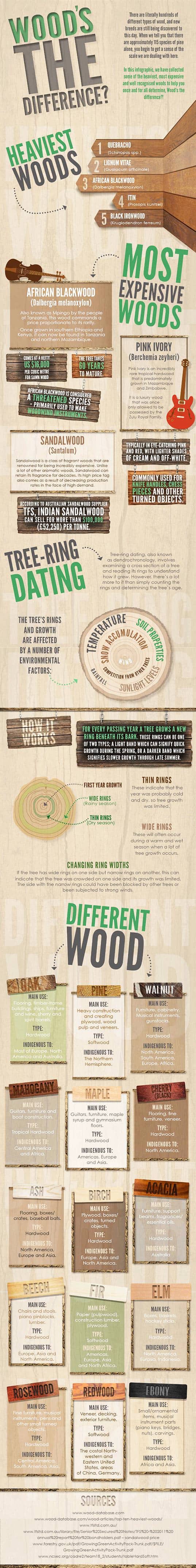 wood-types-infographic-2