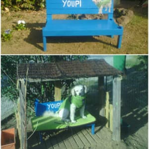 User Other Pallet Projects 