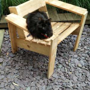 User Other Pallet Projects 