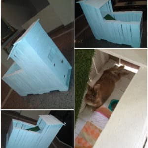 User Other Pallet Projects 