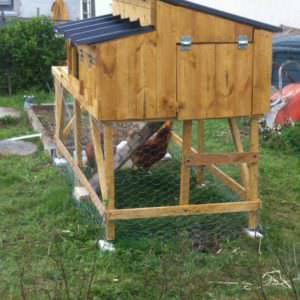 User Other Pallet Projects 