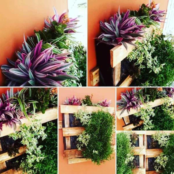 Pallet Vertical Planter 6